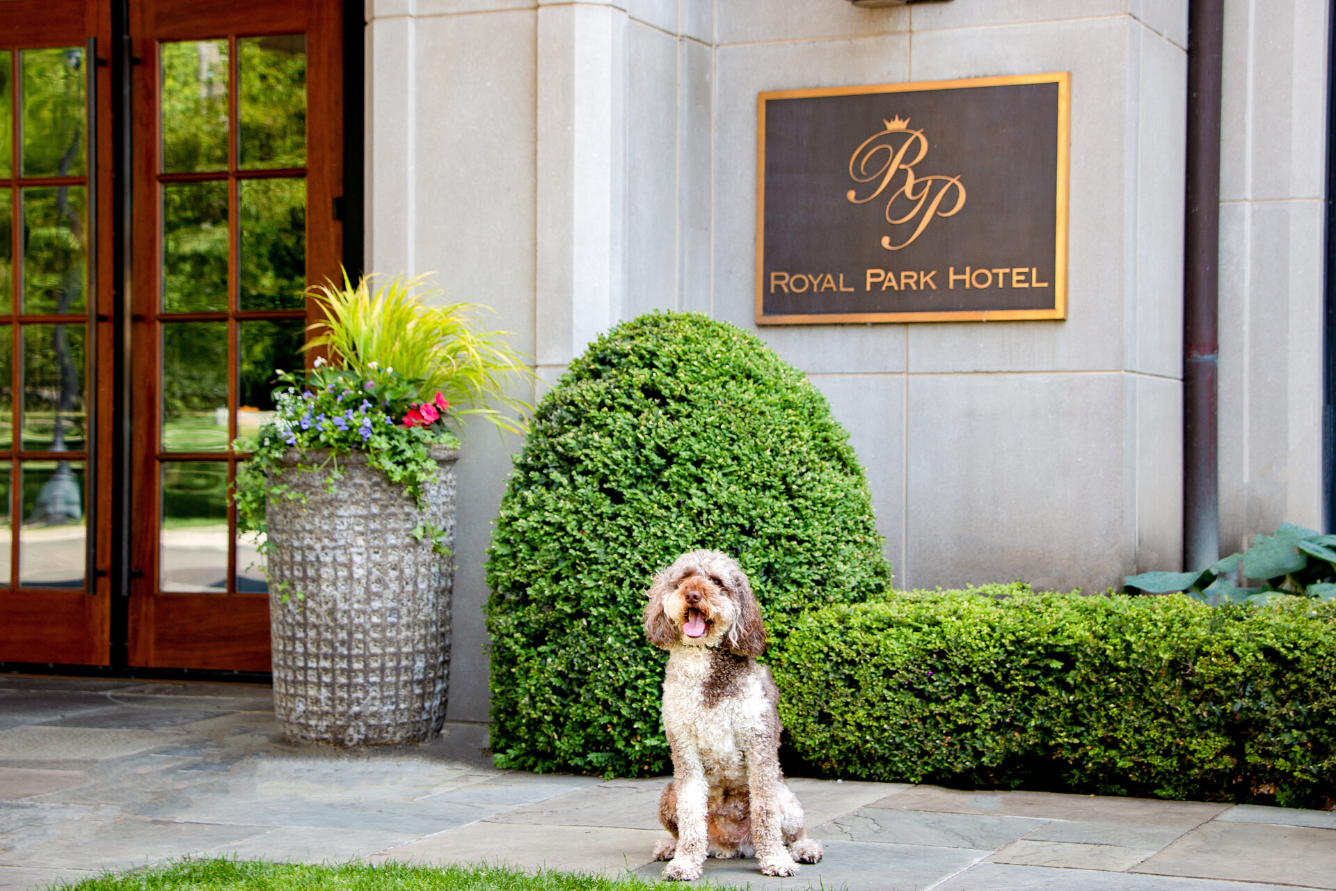 exterior image of Hotel with royal park hotel dog of the year