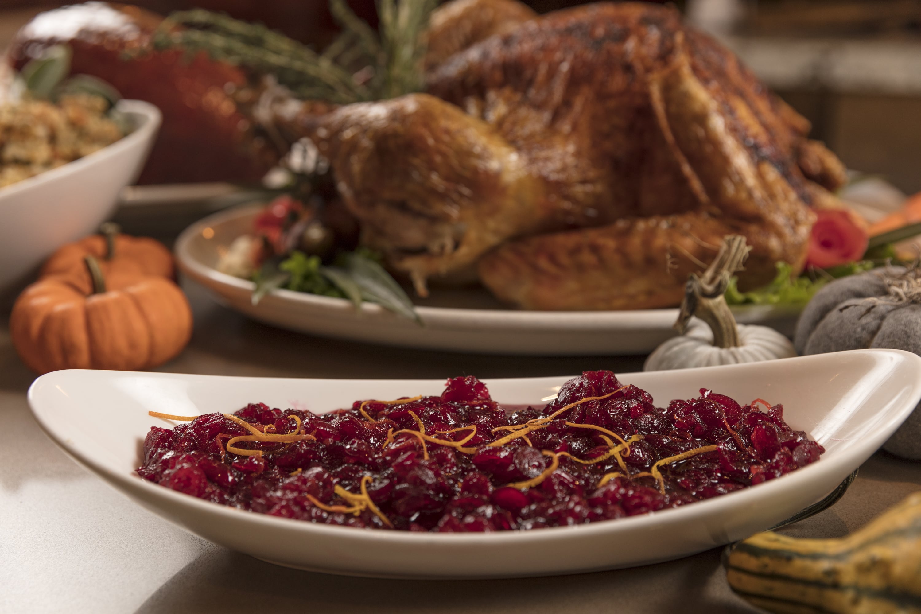 Turkey and cranberry sauce